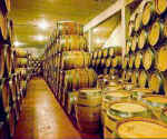 SP0974  Oak barrels used for both fermenting and storing Crianza wine at Bodegas Nekeas.  Aorbe, near Punte la Reina.  Spain. [Navarra]
