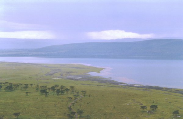 Panormica del Lago Nakuru